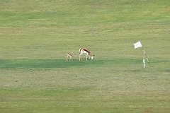 0915-Reis Zuid-Afrika2007